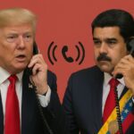  - برفيلكس - brieflex