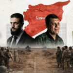  - برفيلكس - brieflex