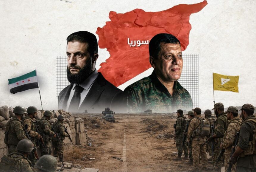  - برفيلكس - brieflex