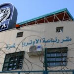  - برفيلكس - brieflex