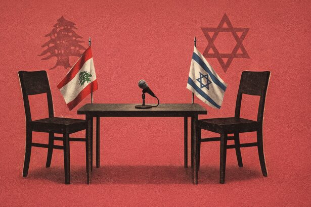  - برفيلكس - brieflex