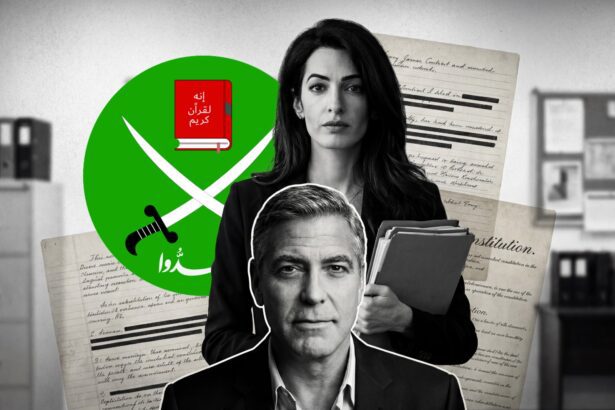  - برفيلكس - brieflex