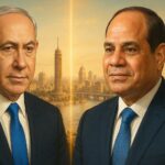  - برفيلكس - brieflex