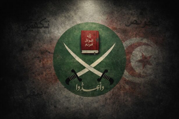  - برفيلكس - brieflex