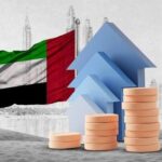  - برفيلكس - brieflex