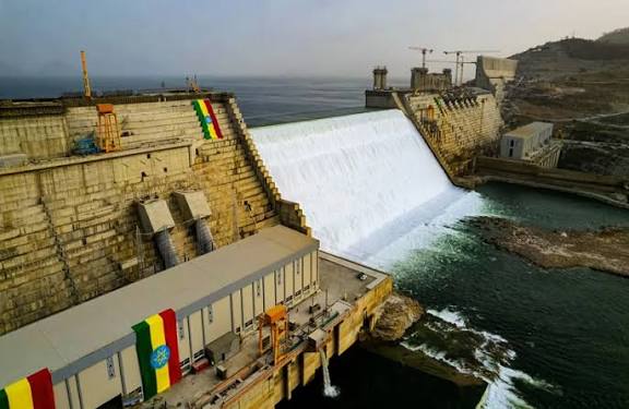  - برفيلكس - brieflex