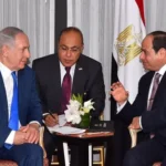  - برفيلكس - brieflex