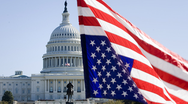  - برفيلكس - brieflex