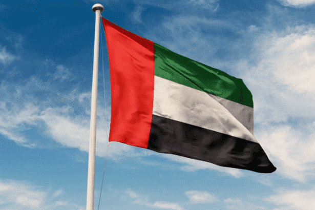  - برفيلكس - brieflex