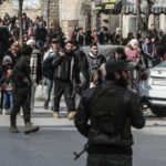  - برفيلكس - brieflex