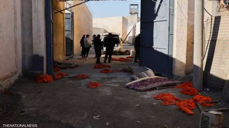  - برفيلكس - brieflex