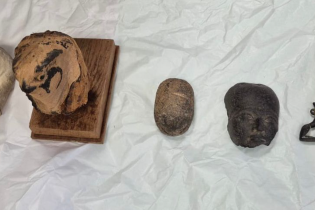  - برفيلكس - brieflex