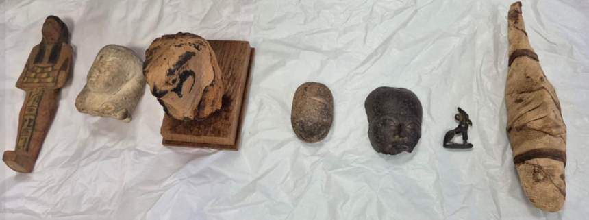  - برفيلكس - brieflex