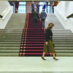  - برفيلكس - brieflex