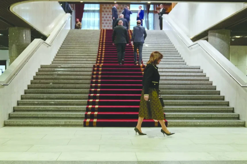  - برفيلكس - brieflex