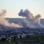  - برفيلكس - brieflex