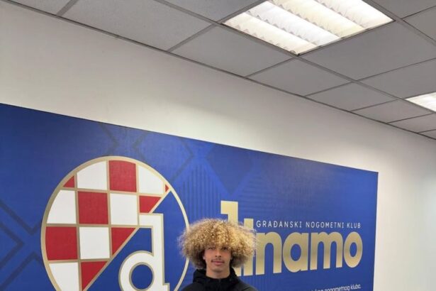  - برفيلكس - brieflex