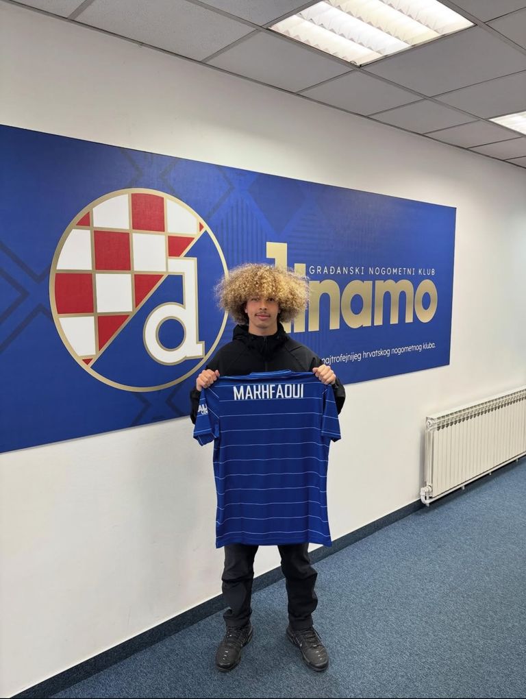  - برفيلكس - brieflex