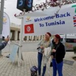  - برفيلكس - brieflex