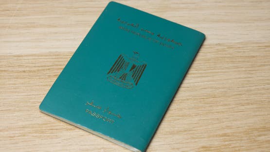  - برفيلكس - brieflex