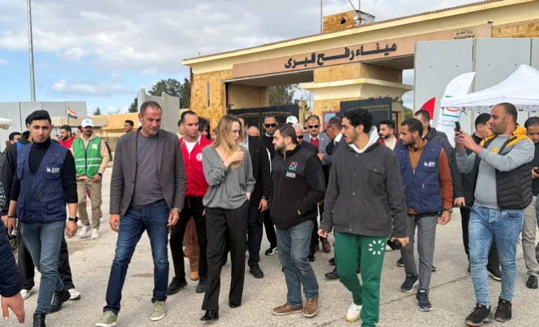  - برفيلكس - brieflex