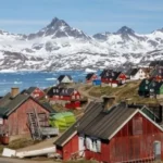  - برفيلكس - brieflex