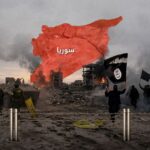  - برفيلكس - brieflex