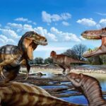  - برفيلكس - brieflex