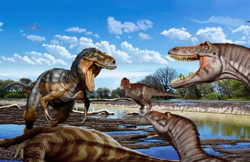  - برفيلكس - brieflex