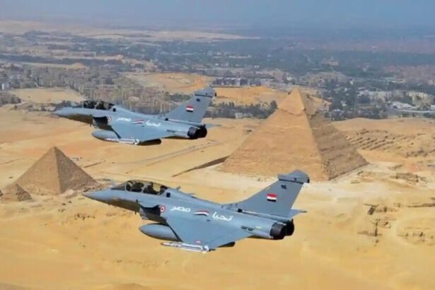 69773b7b4c59b7579c44cfd5 - برفيلكس - brieflex