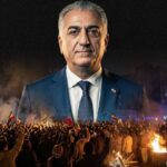  - برفيلكس - brieflex