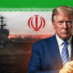  - برفيلكس - brieflex