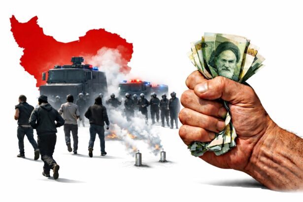  - برفيلكس - brieflex