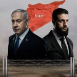  - برفيلكس - brieflex