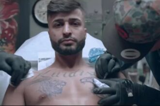  - برفيلكس - brieflex