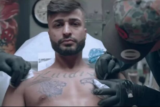  - برفيلكس - brieflex