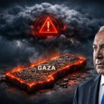  - برفيلكس - brieflex