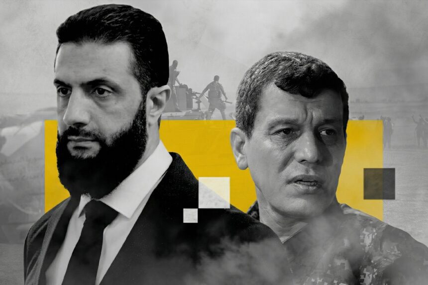  - برفيلكس - brieflex