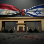  - برفيلكس - brieflex