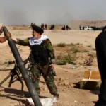  - برفيلكس - brieflex