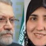  - برفيلكس - brieflex