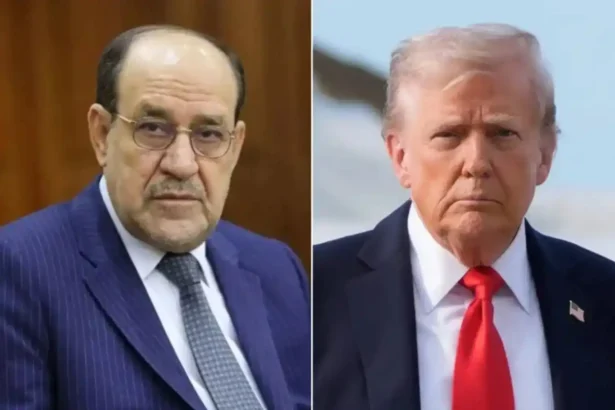  - برفيلكس - brieflex