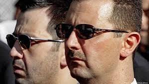  - برفيلكس - brieflex