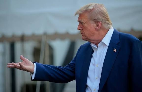  - برفيلكس - brieflex