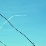  - برفيلكس - brieflex