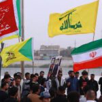  - برفيلكس - brieflex