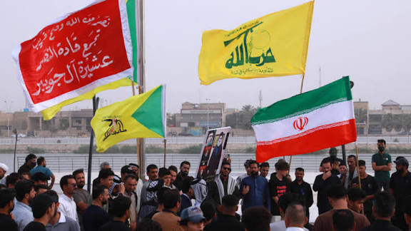  - برفيلكس - brieflex