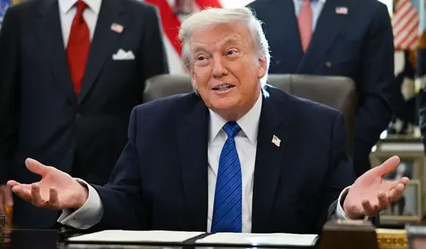  - برفيلكس - brieflex