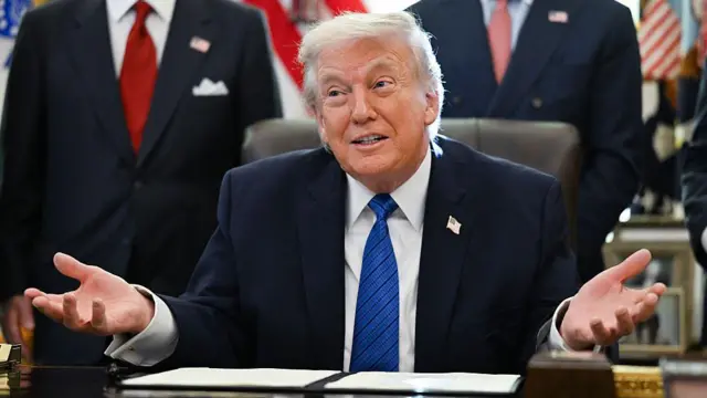  - برفيلكس - brieflex