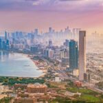  - برفيلكس - brieflex